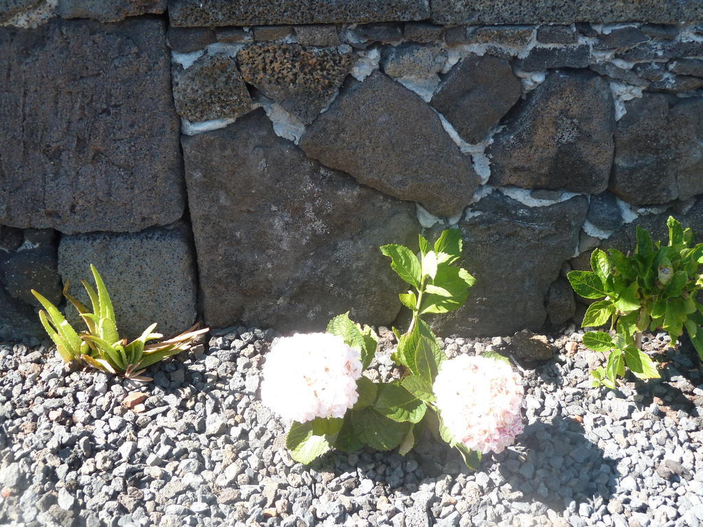 Casas Alto Da Bonanca Vendégház São Roque do Pico Szoba fotó